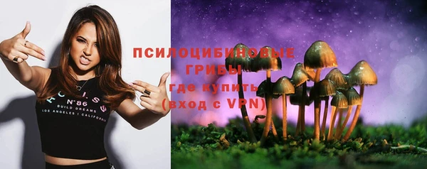 PSILOCYBIN Баксан